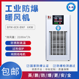BFM-6EX-BNF 山东工业防爆暖风机