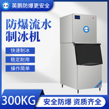 防爆分体式流水制冰机-300KG