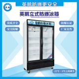 英鹏冷冻防爆冰箱-立式玻璃双门防爆冰箱