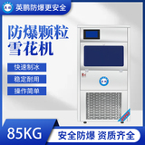 防爆分体式颗粒雪花机-850KG