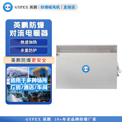 英鹏防爆暖风机 对流式取暖器暖风机BYT-30DL