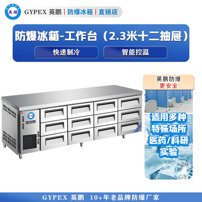 防爆冰箱 防爆操作工作台450L