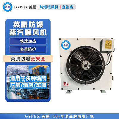 英鹏防爆暖风机 蒸汽防爆取暖器 24KW