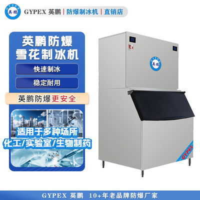 英鹏防爆制冰机 分体式雪花机-1000KG