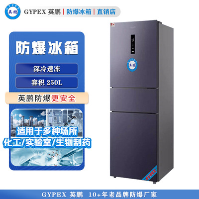 BL-250L（SM）英鹏防爆冰箱 高校专用防爆冰箱250L